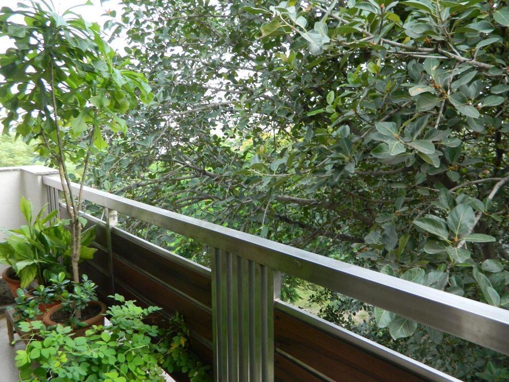 Deerpark Villa New Delhi Ngoại thất bức ảnh