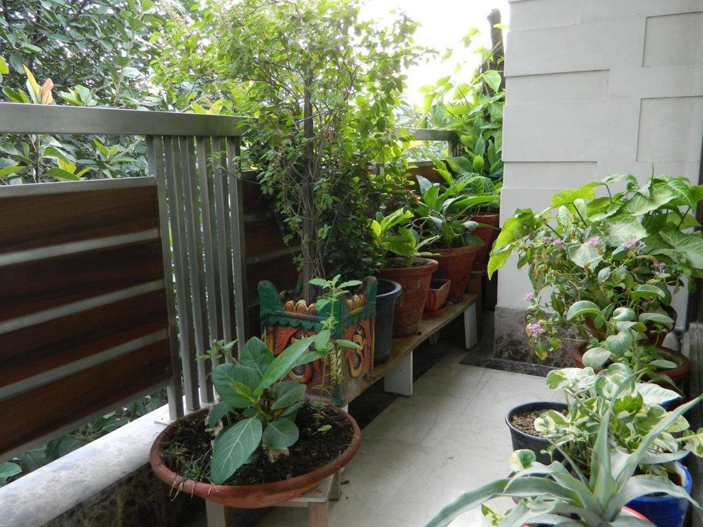 Deerpark Villa New Delhi Ngoại thất bức ảnh